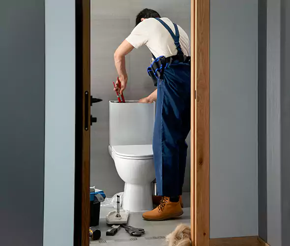 Professional Plumbers for Toilet Bowl Replacement in Medford, NY: Schedule Affordable Toilet Replacement Services With Us