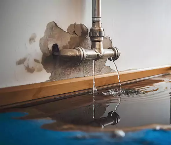 Professional Water Damage Restoration Experts in Medford, NY — Fast, Reliable & Certified