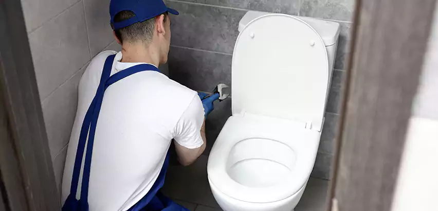 Toilet Lid Replacement in Medford